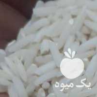 فروش برنج علی کاظمی ارگانیک در رشت در گروه خرید فروش عمده برنج - نیم دانه عنبر بو هاشمی کاظمی هندی پاکستانی در یکمیوه