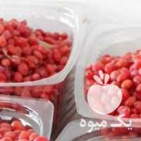 فروش زرشک تازه و عناب و زعفران در مشهد در گروه خرید فروش عمده ازگیل و تمشک و زرشک - ژاپنی فروش مستقیم در یکمیوه