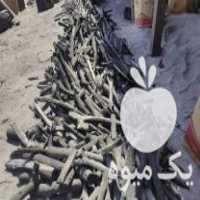 فروش انواع زغالی های مرغوب سنتی در جهرم در گروه خرید فروش عمده چوب- زغال چوب گردو تبریزی خام در یکمیوه