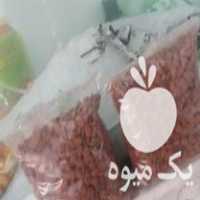 فروش بذر گیاه لوفا در پاکدشت در گروه خرید فروش بذر - انواع محصول کشاورزی گوجه کتان میوه درخت در یکمیوه