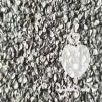 فروش بذر پیاز طلایی فلات در اردبیل در گروه خرید فروش عمده پیاز - قرمز سفید زرد ترشی تازه انباری در یکمیوه