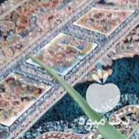 فروش گل آلوورا سرزنده زیبا در تهران در گروه خرید فروش عمده گیاهان زینتی - گرمسیری آپارتمانی باغچه آب در یکمیوه