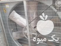 فروش تجهیزات مرغداری تخمگذار گوشتی بلدرچین کبک هواکش جت هیتر  در قزوین در گروه تجهیزات دام و طیور - خرید فروش نو دسته دوم در یکمیوه -عکس1