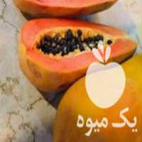 فروش نهال خربزه درختی پرداخت درب منزل در استهبان در گروه خرید فروش نهال - انواع گردو پسته بادام سلطانی انگور در یکمیوه