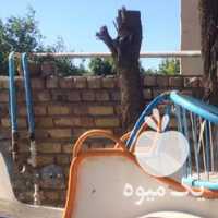 فروش درشکه کالسکه اسب در تهران در گروه اسب و الاغ خر و فروش قاطر- ترکمن عربی سفید نر و ماده در یکمیوه