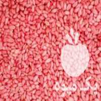 فروش گندم بذری رقم مروارید در مینودشت در گروه خرید فروش بذر - انواع محصول کشاورزی گوجه کتان میوه درخت در یکمیوه