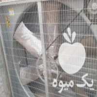 فروش تجهیزات مرغداری تخمگذار گوشتی بلدرچین کبک هواکش جت هیتر  در قزوین در گروه تجهیزات دام و طیور - خرید فروش نو دسته دوم در یکمیوه