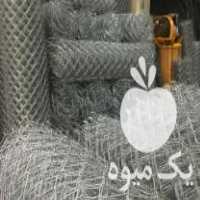 فروش پایه کیوی پایه فنس وتولید عمده فنس در اسالم در گروه خرید فروش عمده کیوی - صادراتی مازندران تنکابن تالش در یکمیوه