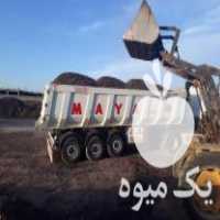 فروش پوکه معدنی ، پوکه پرلیت مشهد ، پوکه پرلیت گناباد ، پوکه لیکا در خراسان رضوی در گروه خرید فروش کود و مواد شیمیایی - اوره پتاس مرغی کمپوست آهن در یکمیوه