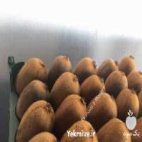 آگهی مشابه فروش کیوی صادراتی مرغوب گیلان در روستای خطبه سرا در آستارا در گروه خرید فروش عمده کیوی - صادراتی مازندران تنکابن تالش در یکمیوه