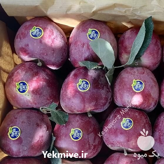 فروش سیب قرمز لبنان در اردبیل در گروه خرید و فروش سیب در یکمیوه -عکس1