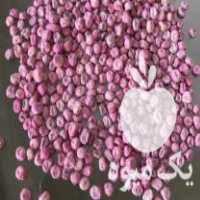 فروش بذر نخود فرنگی پفکی ولف در گرگان در گروه خرید فروش بذر - انواع محصول کشاورزی گوجه کتان میوه درخت در یکمیوه