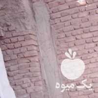 فروش مرغ و خروس محلی جوان تخمی در رشت در گروه مرغ و خروس و بوقلمون و اردک قو قاز در یکمیوه