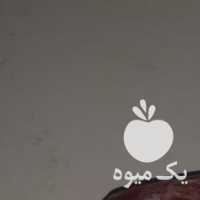 فروش گوشت گوسفندی و گوساله ، منجمد در اصفهان در گروه گاو و گوسفند و میش و بز کهره گوساله سمینتال در یکمیوه