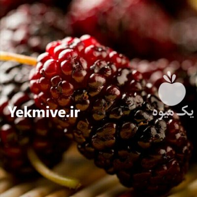 شاتوت منجمد عمده در تهران در گروه خرید فروش عمده سایر محصولات باغبانی مرکبات در یکمیوه