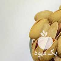 فروش پسته اکبری صادراتی در یزد در گروه پسته - کوهی شامی خام اکبری تازه کله قوچی در یکمیوه