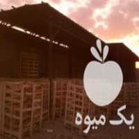 فروش پالت چوبی وباکس هندوانه وجعبه یا صندوق میوه صادرات در شیراز در گروه خرید فروش عمده چوب- زغال چوب گردو تبریزی خام در یکمیوه