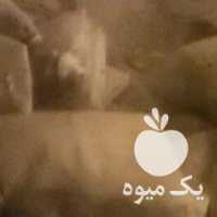 فروش چند کیلو چای نپتون فله ای در لاهیجان در گروه خرید فروش عمده چای - سبز ترش کوهی سیاه در یکمیوه