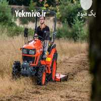 آگهی مشابه خدمات باغبانی در ملایر در همدان در گروه خدمات باغبانی در یکمیوه