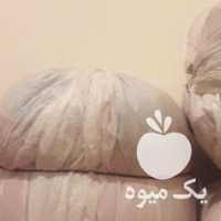 فروش توری پیاز و گونی سیب زمینی در کرمانشاه در گروه خرید فروش عمده سیب زمینی - زودرس دیررس آگریا اسپریت اردبیل همدان در یکمیوه