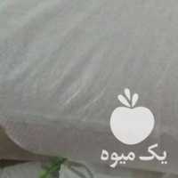 فروش 300 کیلو برنج هاشمی آستانه اشرفیه کیلویی در گیلان در گروه خرید فروش عمده برنج - نیم دانه عنبر بو هاشمی کاظمی هندی پاکستانی در یکمیوه