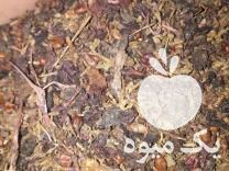 فروش خوراک دام ارزان در تبریز در گروه خوراک شیلات و آبزیان - ماهی گیلان خوزستان چابهار بوشهر در یکمیوه -عکس1