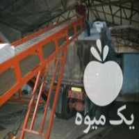 فروش ذرت علوفه بسته بندی پهلوان در شوسف در گروه خوراک دام و طیور - پرواری شیری علوفه یونجه در یکمیوه