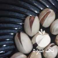 فروش پسته تازه در تهران در گروه پسته - کوهی شامی خام اکبری تازه کله قوچی در یکمیوه