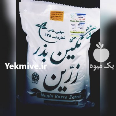 فروش عمده و خرده انواع بذر یونجه اصلاح شده در جیرفت در گروه خرید فروش بذر - انواع محصول کشاورزی گوجه کتان میوه درخت در یکمیوه -عکس2