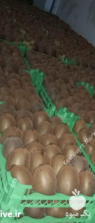 فروش کیوی در نشتارود در گروه خرید فروش عمده کیوی - صادراتی مازندران تنکابن تالش در یکمیوه -عکس1
