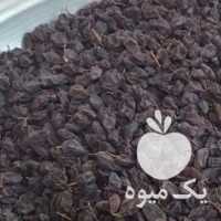 فروش  شیره انگور چفته خانگی کشمش عسگری آفتابی آماده در قزوین در گروه عسل شیره و فرآورده ی مربا - طبیعی گون کوهی آویشن در یکمیوه