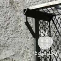 فروش سبد میوه سبد انگور در تهران در گروه خرید فروش انواع سبد - میوه پلاستیکی چوبی گل در یکمیوه