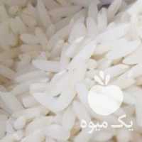 فروش برنج گیلانی در رشت در گروه خرید فروش عمده برنج - نیم دانه عنبر بو هاشمی کاظمی هندی پاکستانی در یکمیوه