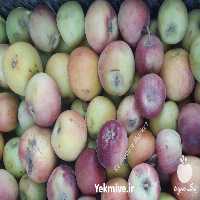 فروش سیب در فارس در گروه انواع محصولات کنسروی - فروش عمده فرآوری کشاورزی در یکمیوه