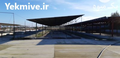 فروش ملک صنعتی کاملا مجهز در گلستان سویت و زمین در کردکوی در گروه اجاره فروش دامداری - صنعتی سنتی مدرن نوین ایران دامپروری در یکمیوه -عکس3