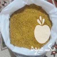 فروش پوست پسته اسیاب شده در کرمان  در گروه پسته - کوهی شامی خام اکبری تازه کله قوچی در یکمیوه