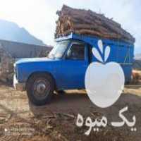 فروش چوب ذغالی چوب سیب در دهاقان در گروه خرید فروش عمده چوب- زغال چوب گردو تبریزی خام در یکمیوه