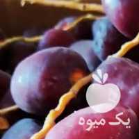 فروش خرما خوشه ای خارک مضافتی در تهران در گروه خرید فروش عمده خرما - کبکاب تازه زاهدی خشک خارک در یکمیوه