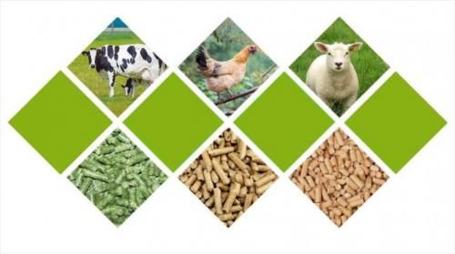 فروش خوراک دام طیور  ،  فروش نهاده دامی  ،  کاه ویونجه در تهران در گروه خوراک دام و طیور - پرواری شیری علوفه یونجه در یکمیوه -عکس1