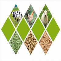 فروش خوراک دام طیور  ،  فروش نهاده دامی  ،  کاه ویونجه در تهران در گروه خوراک دام و طیور - پرواری شیری علوفه یونجه در یکمیوه