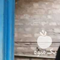 فروش اسب تروبرد در کرج در گروه اسب و الاغ خر و فروش قاطر- ترکمن عربی سفید نر و ماده در یکمیوه