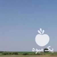 فروش بادام زمینی در آستانه اشرفیه در گروه بادام - درختی کوهی زمینی فروش عمده در یکمیوه