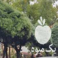 فروش گل و گیاه بیرونی در تازه آباد در گروه خرید فروش عمده گیاهان زینتی - گرمسیری آپارتمانی باغچه آب در یکمیوه