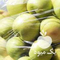 فروش سیب سالم آب گیری در ارومیه در گروه خرید فروش عمده سیب - زرد و قرمز گلاب پاییزه در یکمیوه