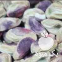 فروش مغز پسته قزوین در گروه پسته - کوهی شامی خام اکبری تازه کله قوچی در یکمیوه