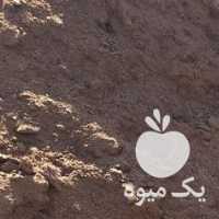 فروش کود گاوی گوسفندی در مشهد در گروه خرید فروش کود و مواد شیمیایی - اوره پتاس مرغی کمپوست آهن در یکمیوه