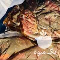 فروش خرمای کبکاب عسلی در بوشهر در گروه خرید فروش عمده خرما - کبکاب تازه زاهدی خشک خارک در یکمیوه