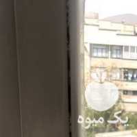 فروش کاکتوس بهمراه گلدان بتنی در تهران در گروه خرید فروش عمده گیاهان زینتی - گرمسیری آپارتمانی باغچه آب در یکمیوه