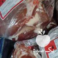 فروش گوشت گوساله ، گوسفندی ومرغ در شیراز در گروه گاو و گوسفند و میش و بز کهره گوساله سمینتال در یکمیوه
