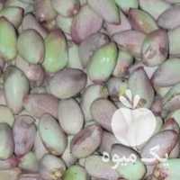 فروش پسته دامغان کلی و جزئی در تهران در گروه پسته - کوهی شامی خام اکبری تازه کله قوچی در یکمیوه